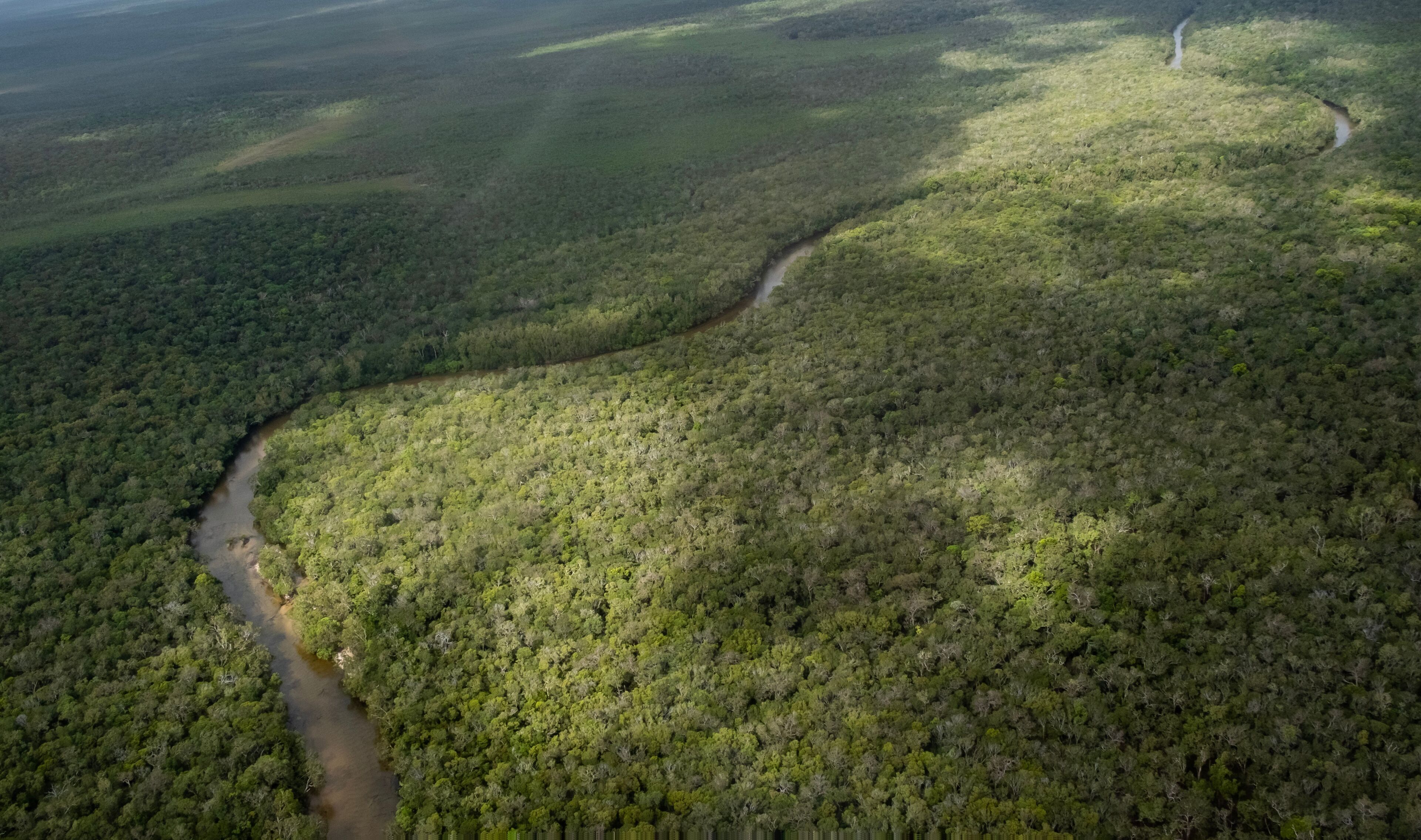 Aerial view of river, creek and vegetation at the tip of Australia. On a flight near Bamaga, Cape York, Queensland, Australia.