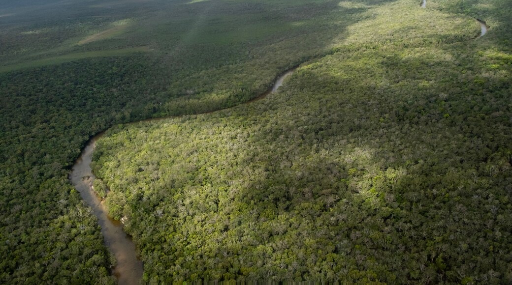 Aerial view of river, creek and vegetation at the tip of Australia. On a flight near Bamaga, Cape York, Queensland, Australia.