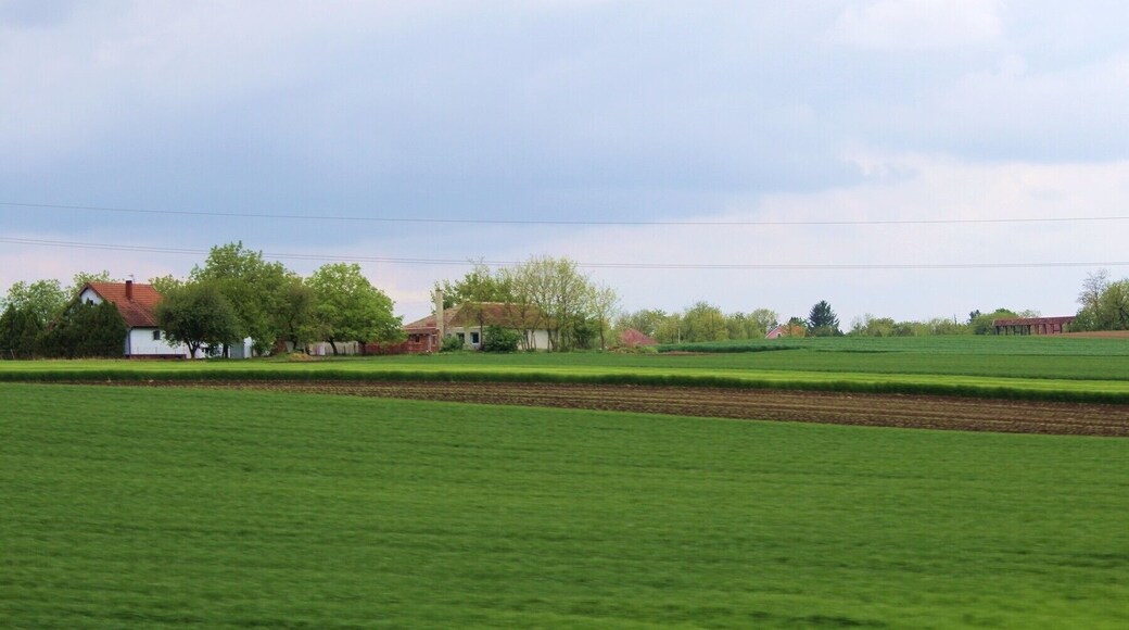 Small village in Croatia, I think it was near Osjek, but not for sure. The highway from Osjek to Djakovo is very interesting at spring, especially when the first green grain begins to grow
#Croatia #highway #travel #travelphotographer