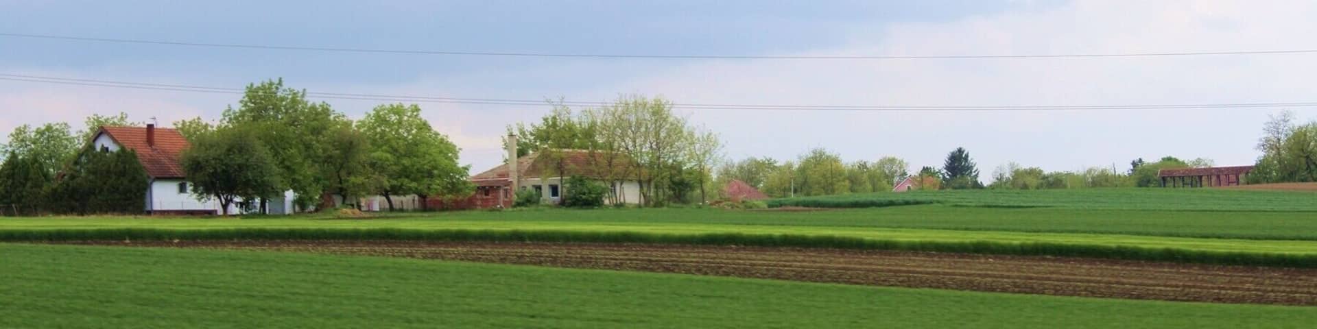 Small village in Croatia, I think it was near Osjek, but not for sure. The highway from Osjek to Djakovo is very interesting at spring, especially when the first green grain begins to grow
#Croatia #highway #travel #travelphotographer