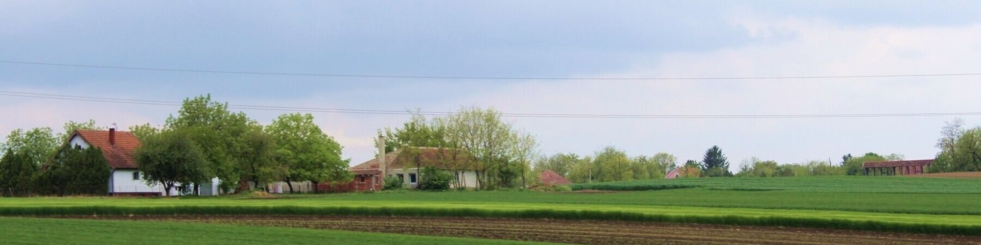 Small village in Croatia, I think it was near Osjek, but not for sure. The highway from Osjek to Djakovo is very interesting at spring, especially when the first green grain begins to grow
#Croatia #highway #travel #travelphotographer