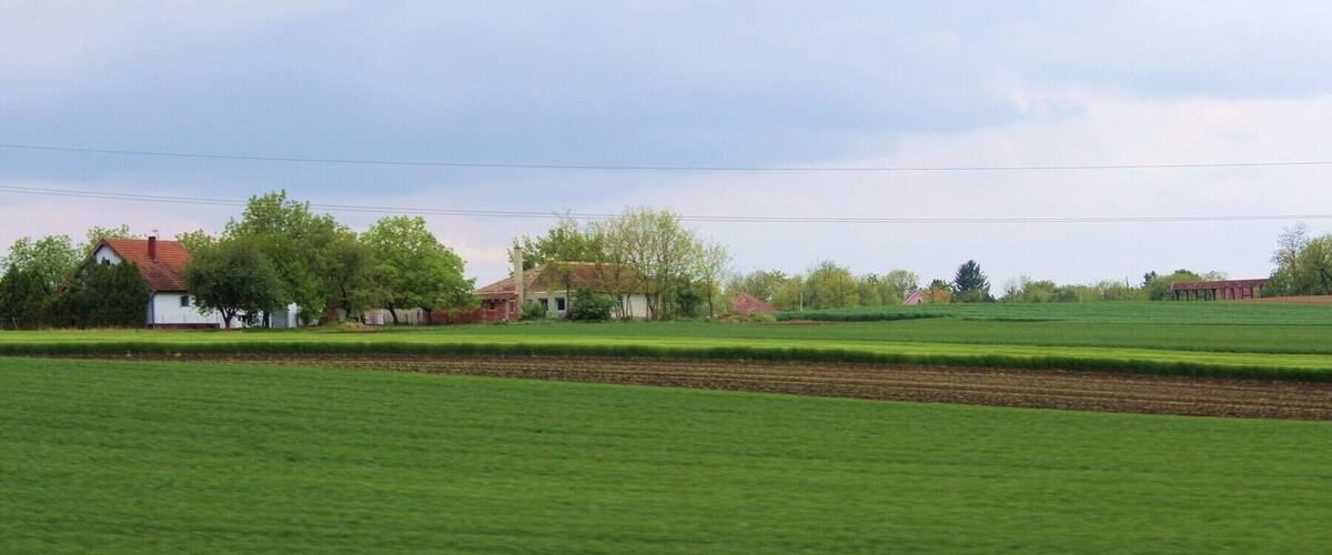 A rural landscape with green fields, a white house, and a red barn.