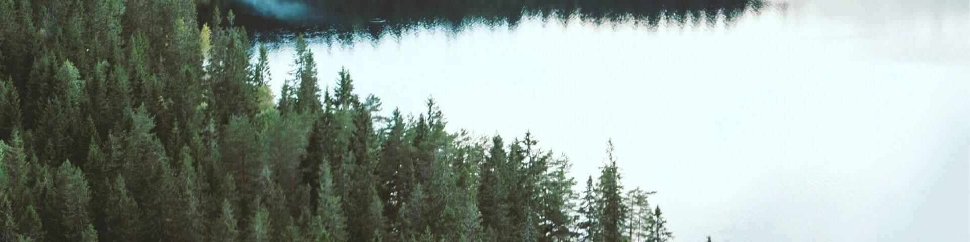 Ăyungen is a lake located in Nordmarka just a short drive from Oslo centrum. It's a perfect spot for camping as well as hiking.