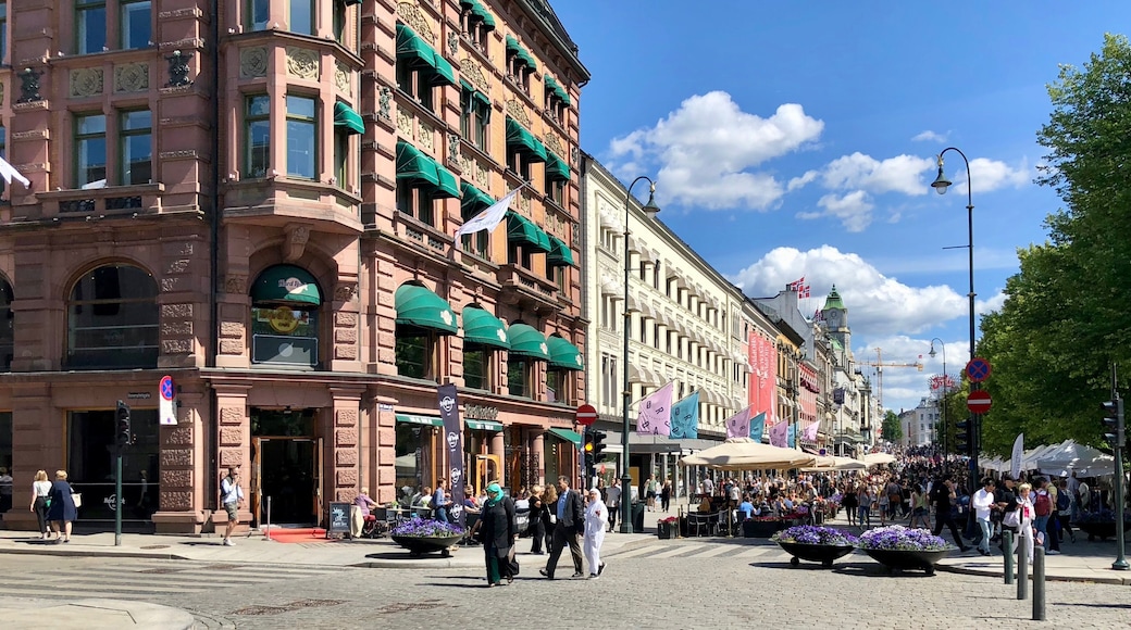 Karl Johans Gate, in the city of Oslo, Norway, is the main street and Oslo's most famous, which stretches from the Royal Palace to Oslo Central Station. There are shops of all kinds and street artists during summer. Park and pedestrian walkway alongside the street.
#street #markets #Oslo #Norway #OnTheRoad