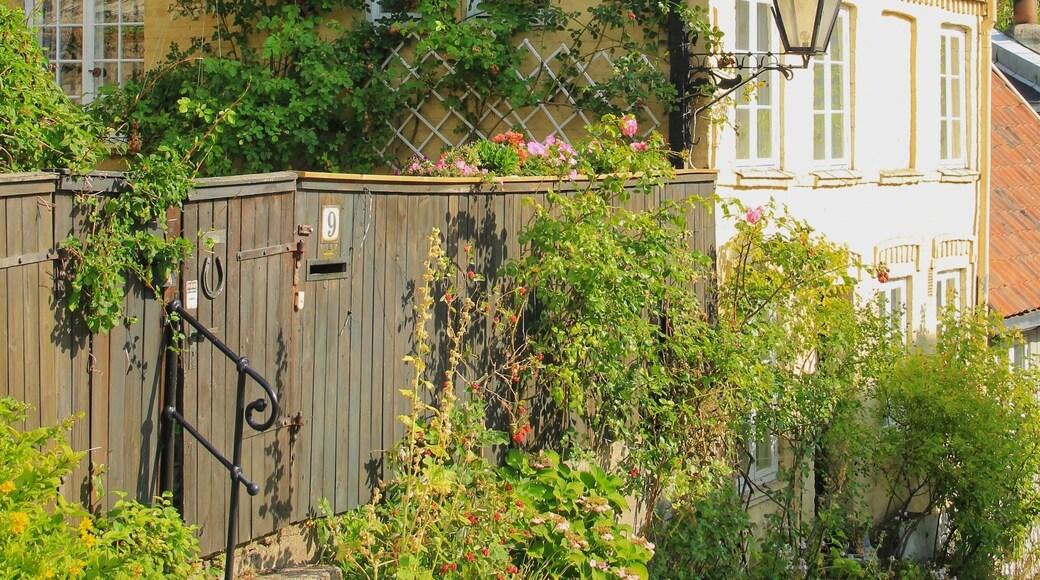 One of the prettiest parts of Oslo, Telthusbakken and nearby Damstredet are lined with colourful wooden houses dating from the 1700s and 1800s - all of which are inhabited 😊