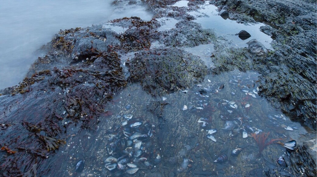 Cloudy afternoon at Hukodden, Oslo.
#bvsblue