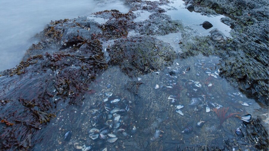 Cloudy afternoon at Hukodden, Oslo.
#bvsblue