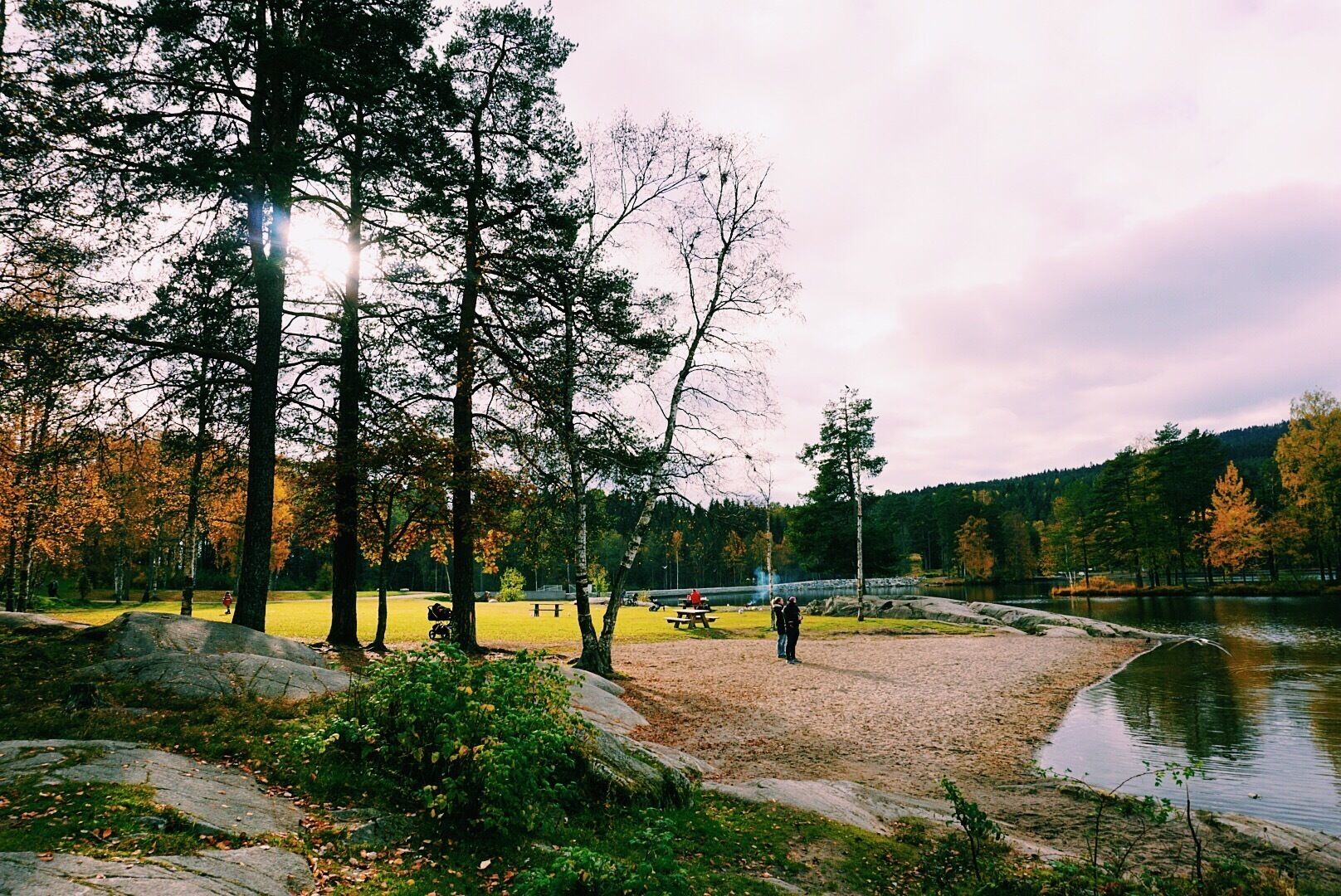 Un parc au bord du lac, doté d’aires de pique-nique, d’arbres et d’une rive rocheuse.