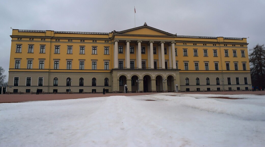 The Royal Palace in Oslo, Norway. The current Norwegian monarch still lives here!
Close to the Nationaltheatret train station. Free to see. They do guided tours in Norsk and English in the summer only, $10 per tour.