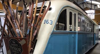 Norwegians are really into sports, especially winter sports. Apparently public transport even used to have special places to carry your gear.