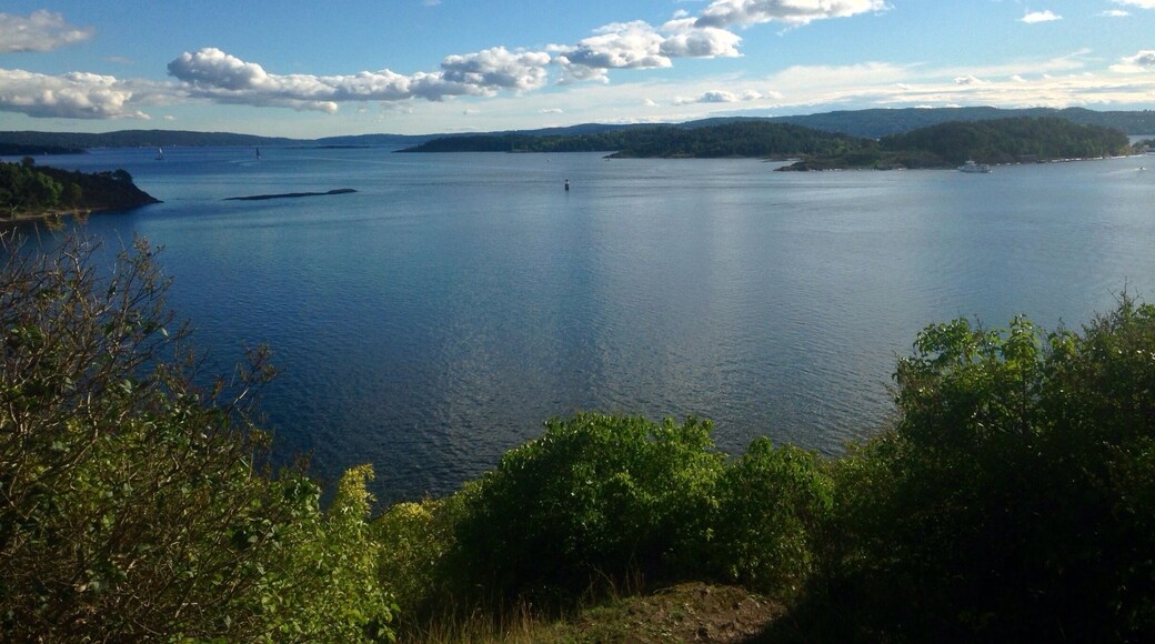 I won't be forgetting my past few days in Oslo anytime soon! Island hopping through the Oslo fjord was a wonderful way to finish my trip. I have fallen deeply in love with this beautiful country and will be back again for sure!!!