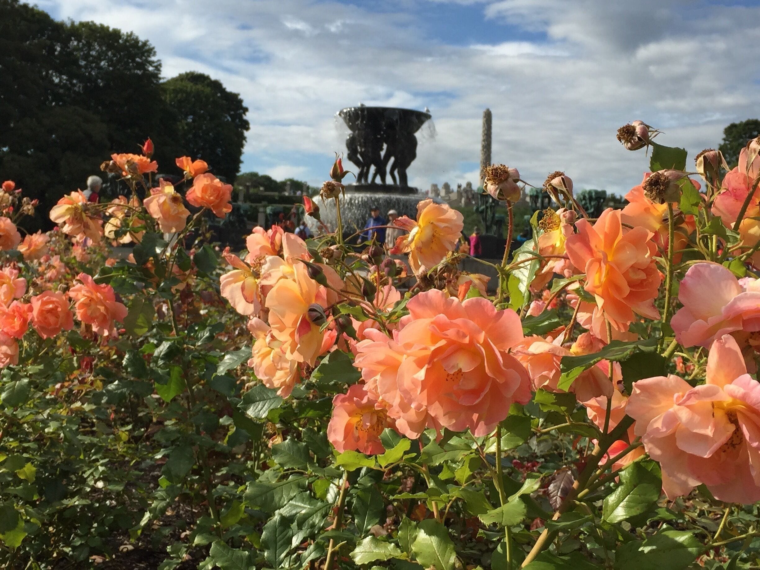 Rose garden with Vigeland's fountain and monolith in the distance. I imagine you could spend a lifetime visiting this park and see new things on every visit. Don't miss this if you're in Oslo!
