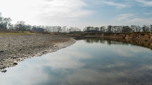 Odra river near confluence with Ondrejnice river in CHKO Poodri in Czech republic