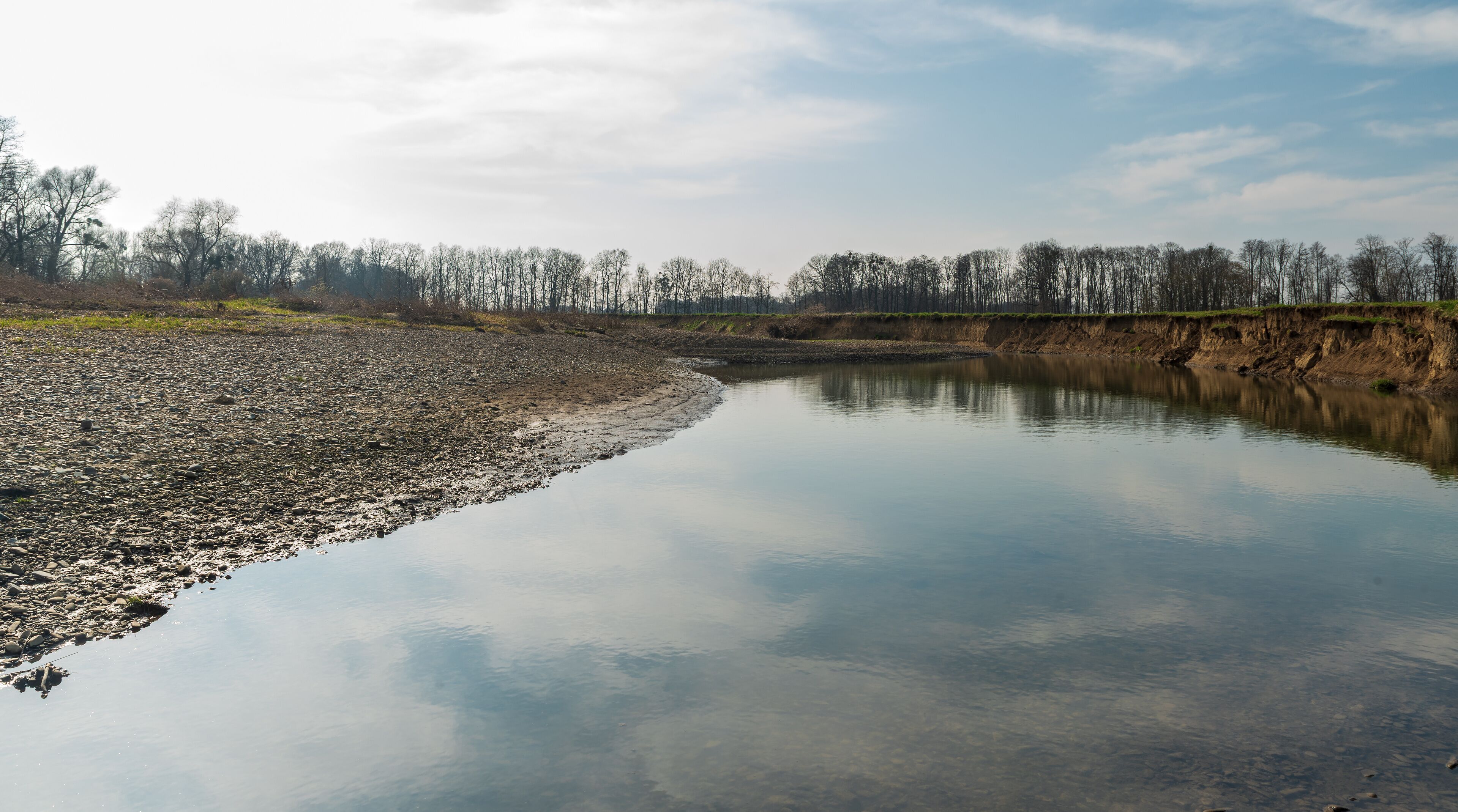 A calm river with a rocky shore and a forest in the background.