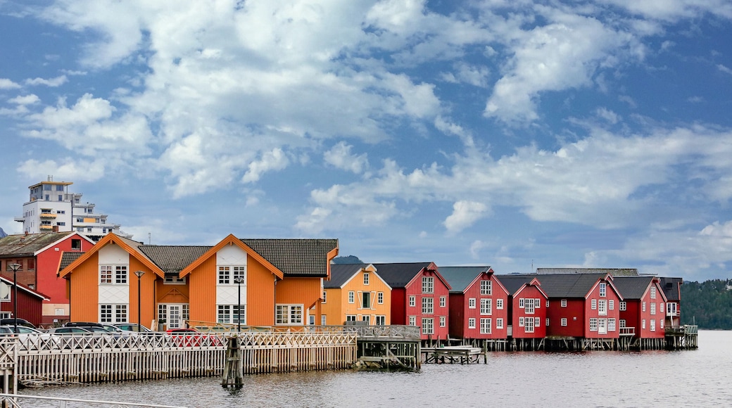 Part of Namso's harbor in Trøndelag