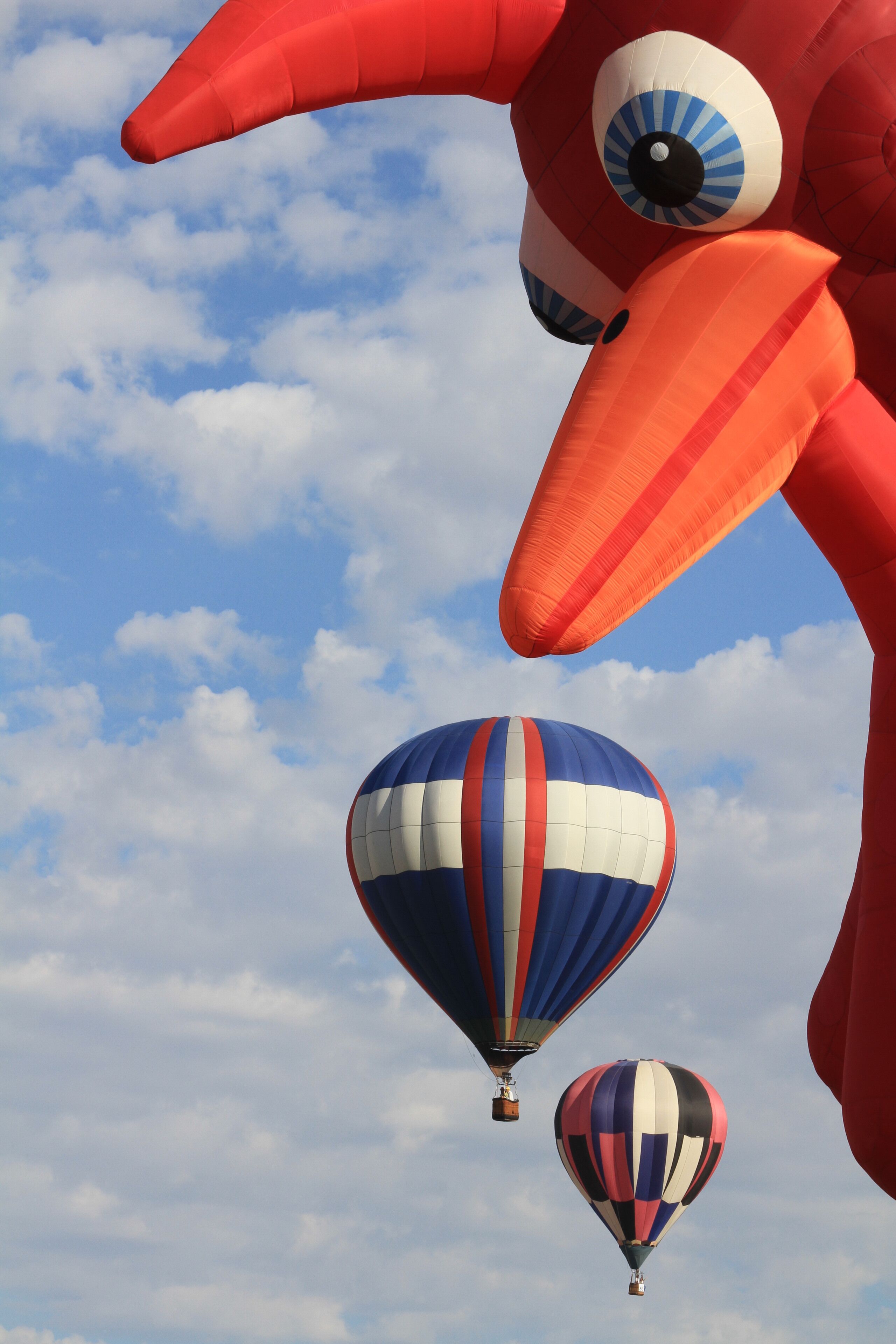 Lots of fun photo opps at the Albuquerque Balloon Festival.
