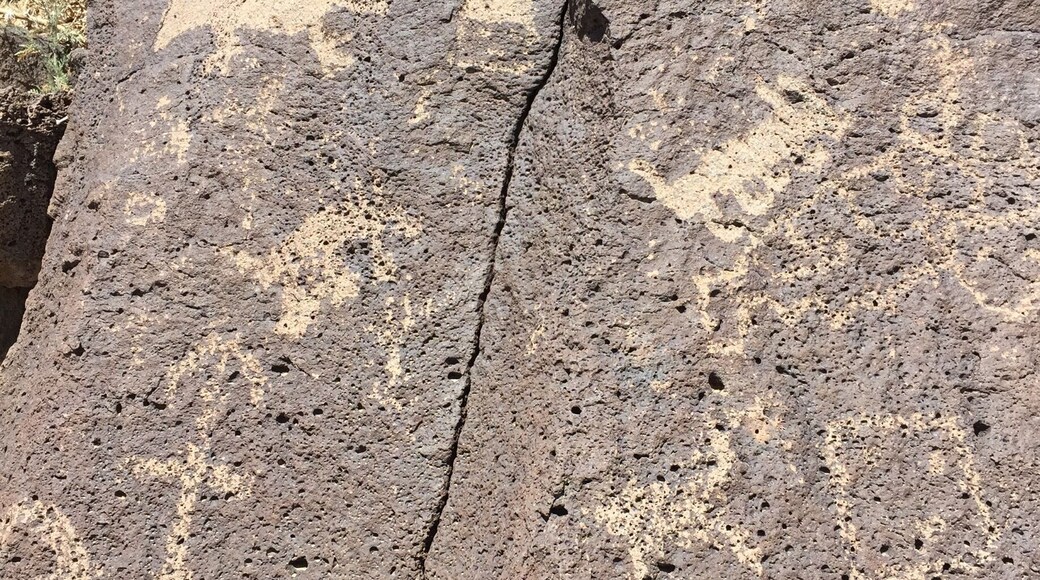 Lots of interesting petroglyphs to be found on the basalt boulders along the escarpment.
