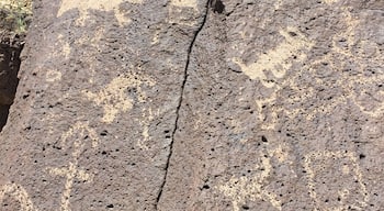 Lots of interesting petroglyphs to be found on the basalt boulders along the escarpment.