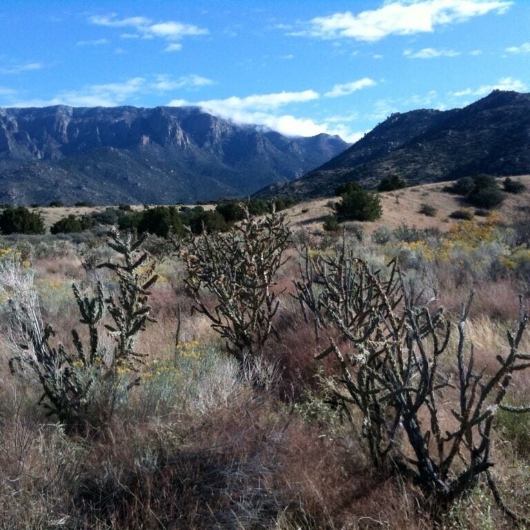 This is a simple trail with no major elevation changes, but a beautiful walk on any lovely Albuquerque day. 