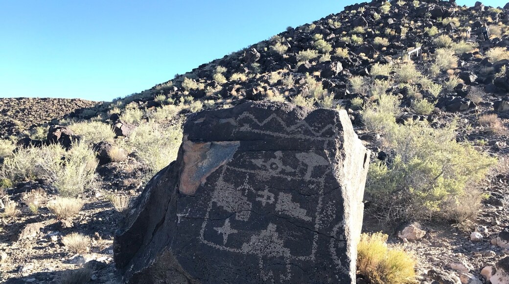 Nice hike near Albuquerque among the petroglyphs.