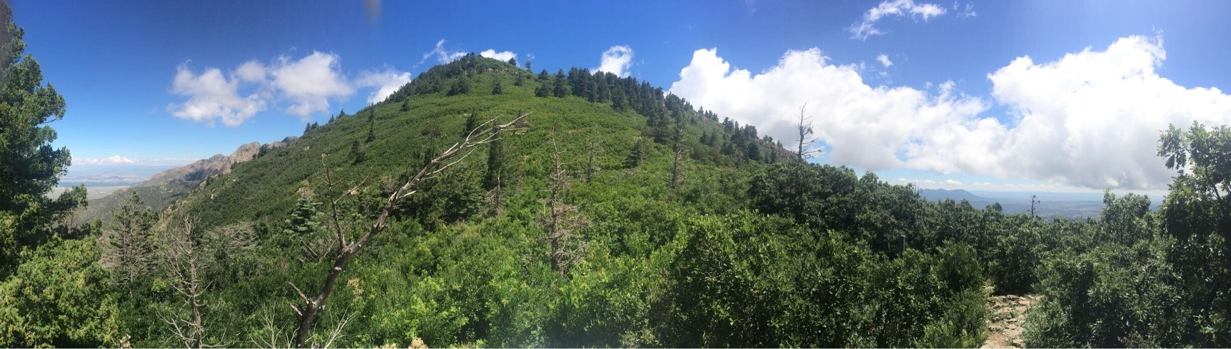 Hiking up Ellena Gallegos - beautiful day hike.