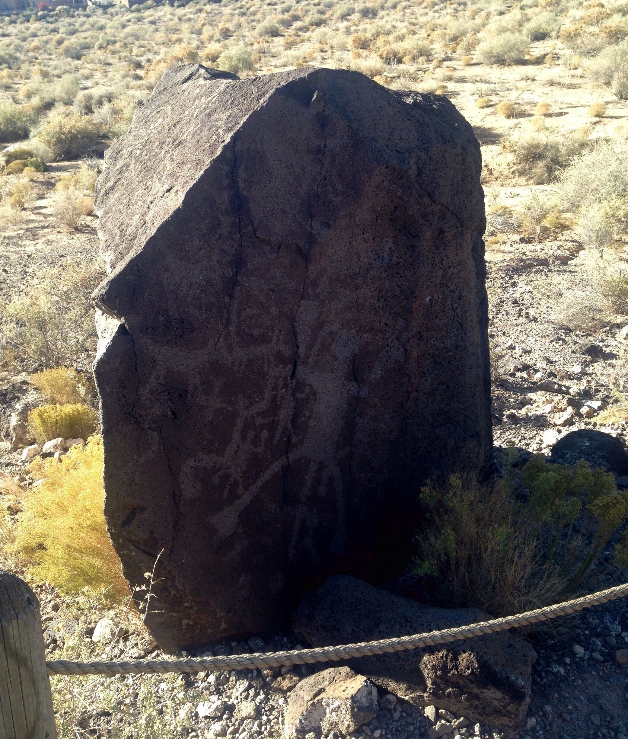 One of many petroglyphs along the trail. 