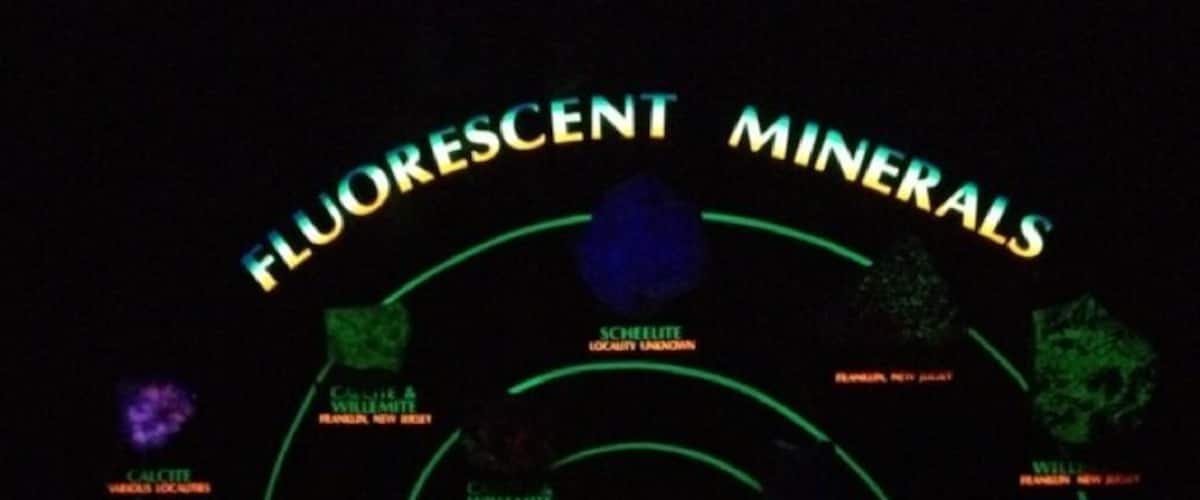The fluorescent mineral display in the geology museum at Northrop Hall always delights!