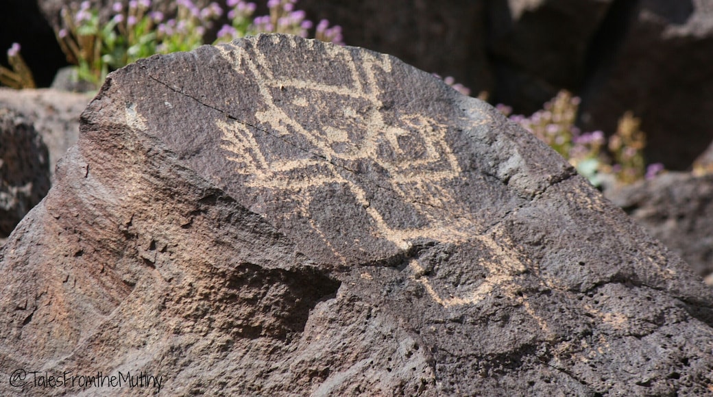 Piedras Marcardas petroglyphs take you back in time...a beautiful hike for spring time as the temps are lower and the wildflowers are blooming everywhere. #NationalPark