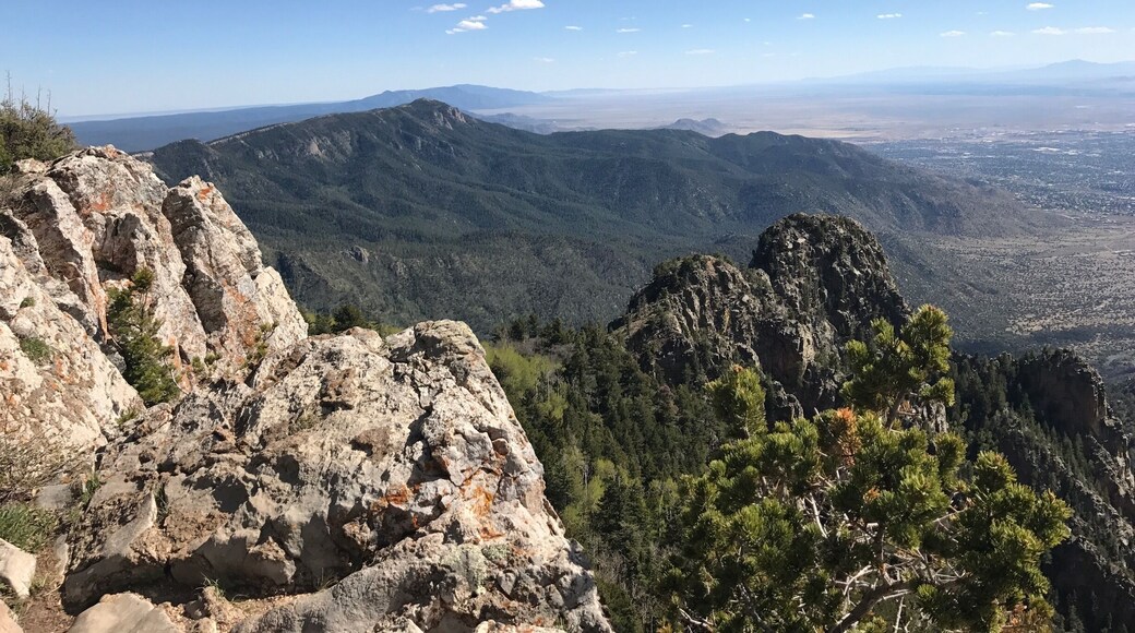 View from the top of the Sandias in Albuquerque, NM. Worth every step of eight miles uphill #takeahike