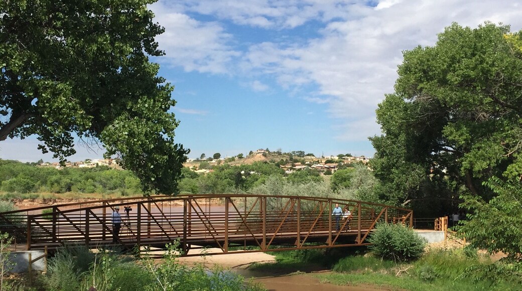 The bosque riverside trail, recently upgraded to a 5-foot wide path of crusher fine to make it fully accessible, includes the addition of this lovely new bridge. Mayor Richard Berry crosses it with his publicist following the grand opening ceremony, August 2017