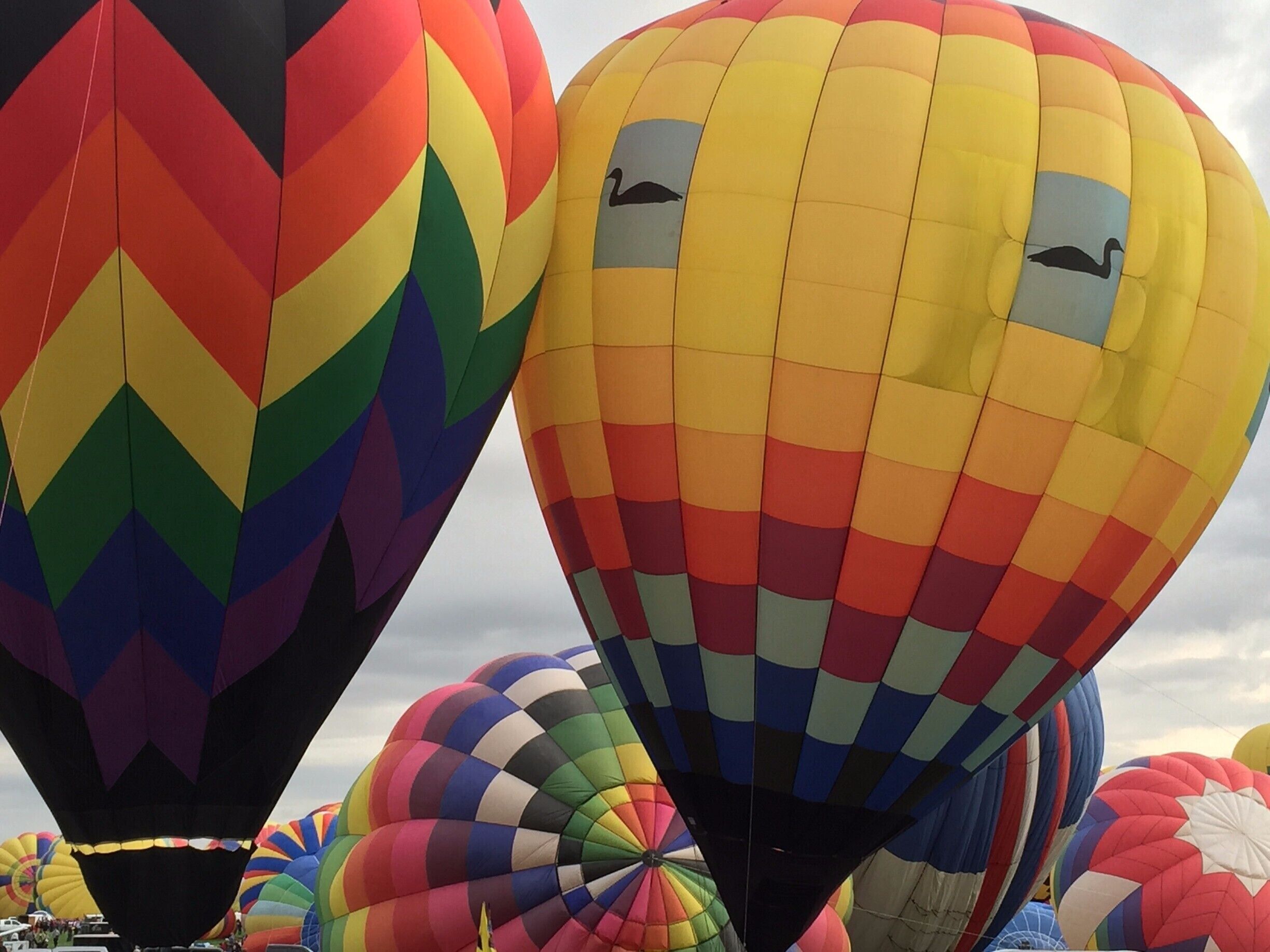 One after another, they fill, they rise.  It's like watching sleeping giants wake.