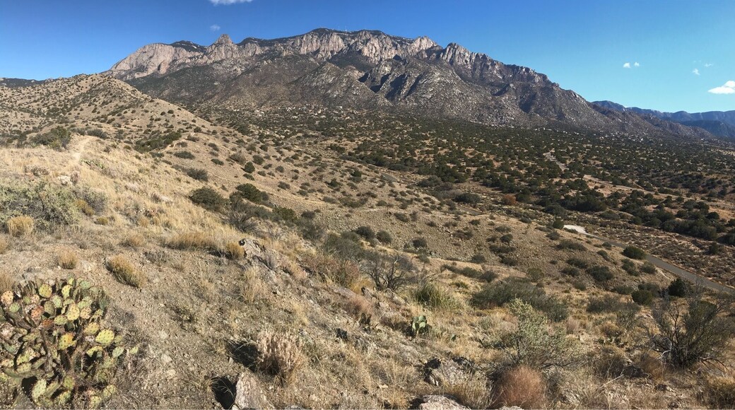 Taken from the hill on the left, right after the first cattle guard. Right off of tramway. Bad cell phone photo.
