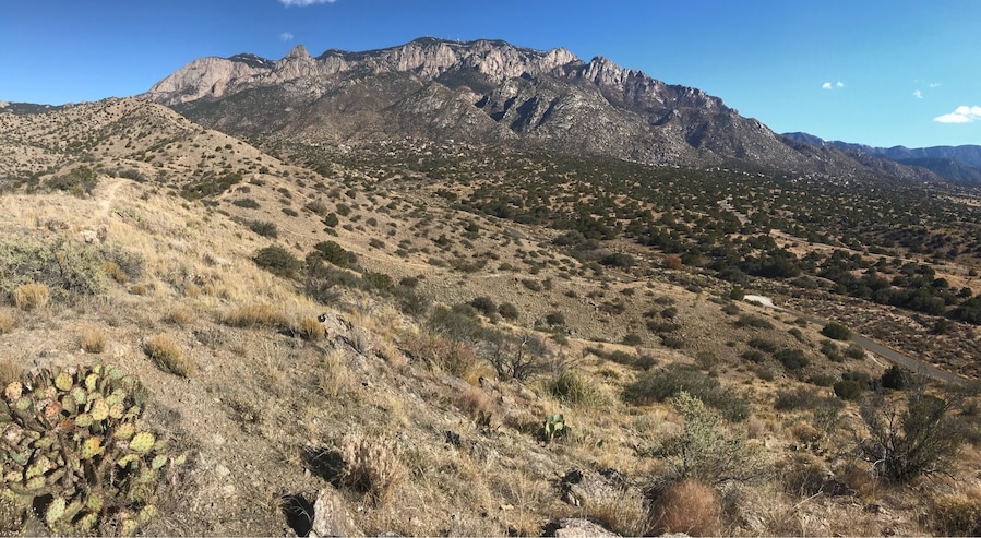 Taken from the hill on the left, right after the first cattle guard. Right off of tramway. Bad cell phone photo.