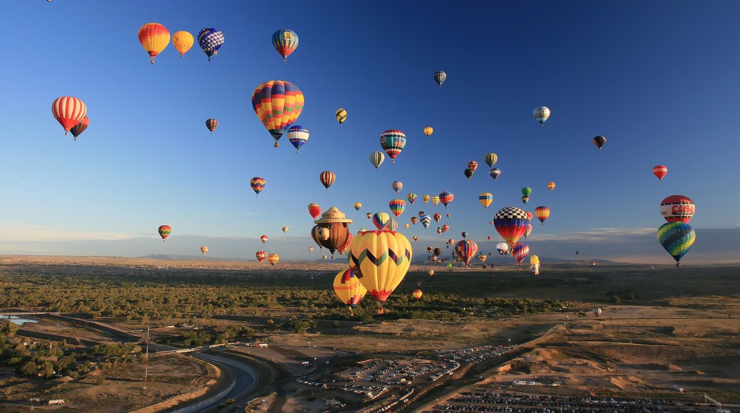 อัลเบอร์เคอร์กี