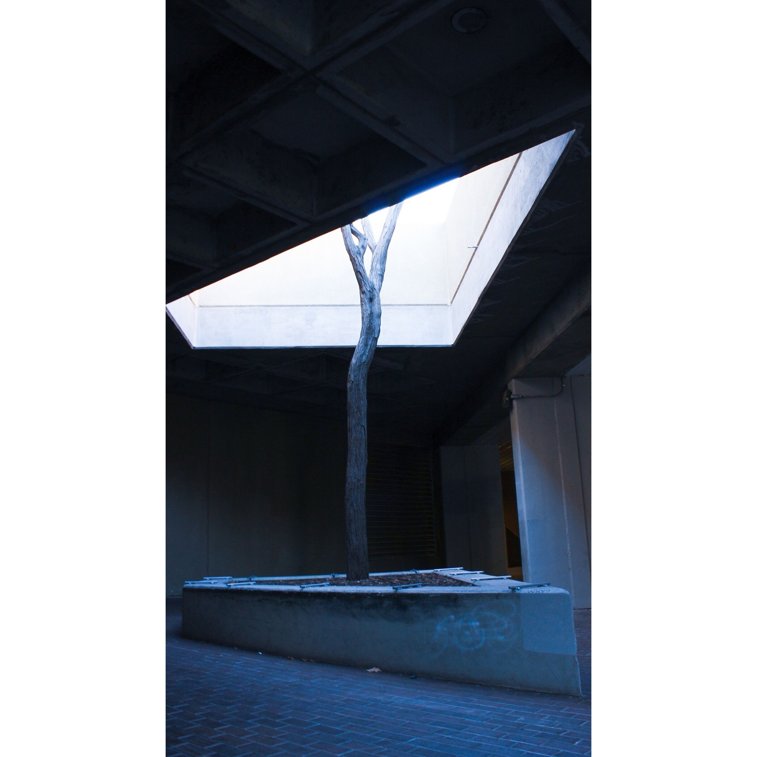 I love this spot. Especially when it's around dusk. It is near the CERIA bldg.