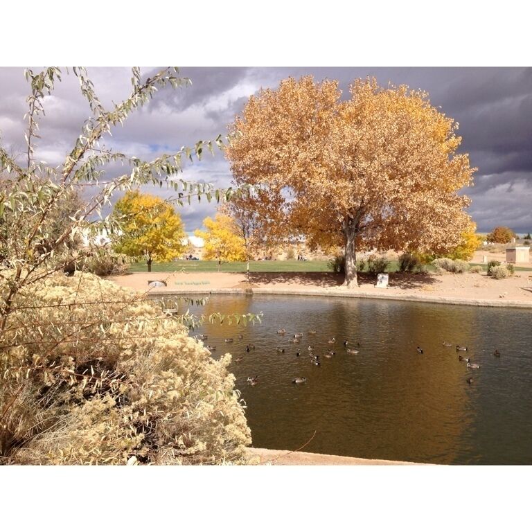 This is a lovely park on Albuquerque's west side, complete with a duck pond & bridge, soccer fields, baseball park, and walking trail around the perimeter.  