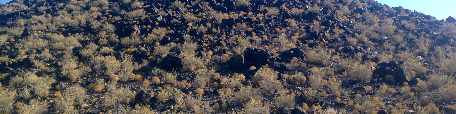 Keep your eyes out along the trail for petroglyphs that are hidden along the way. #treasurehunt