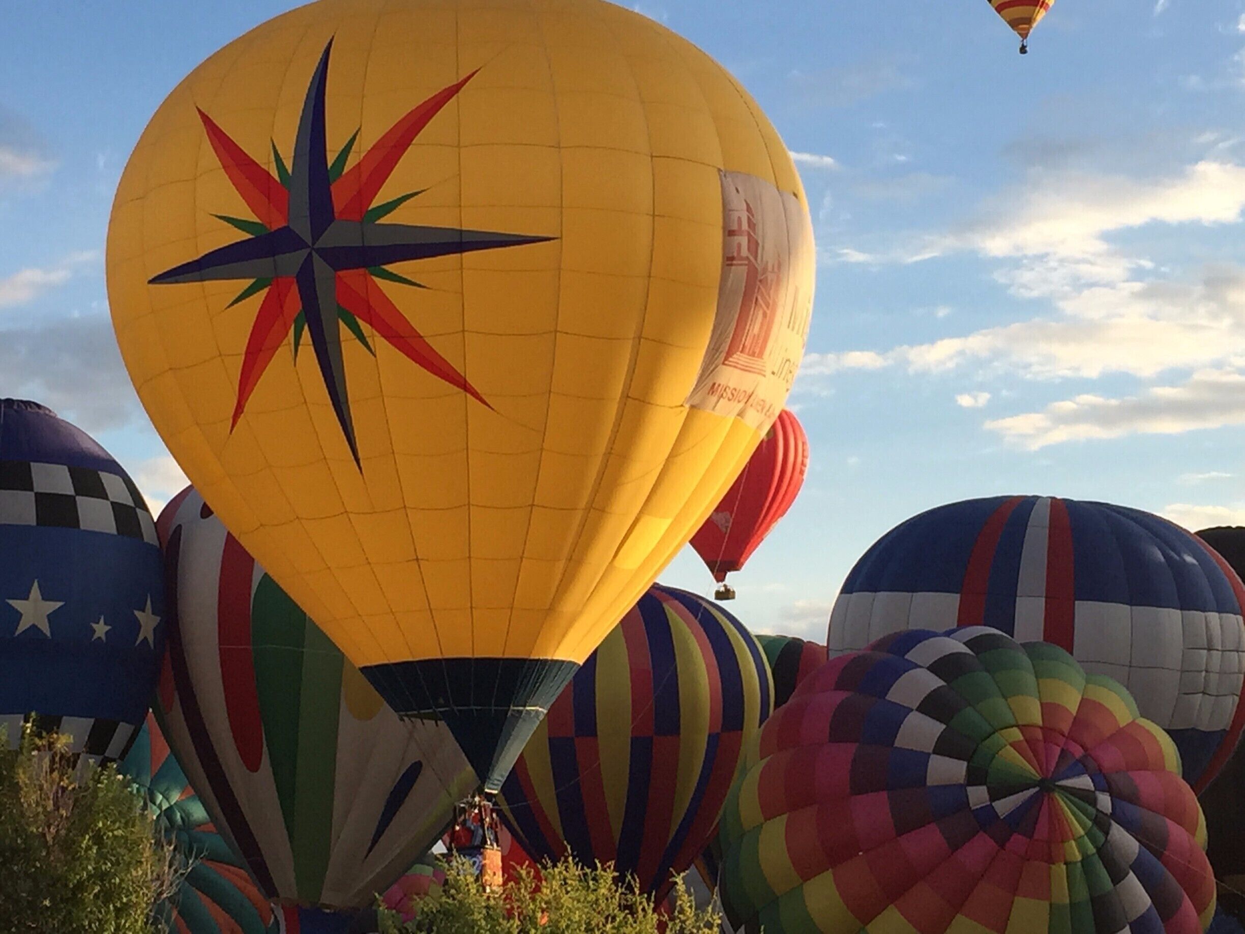 A collection of colorful hot air balloons.