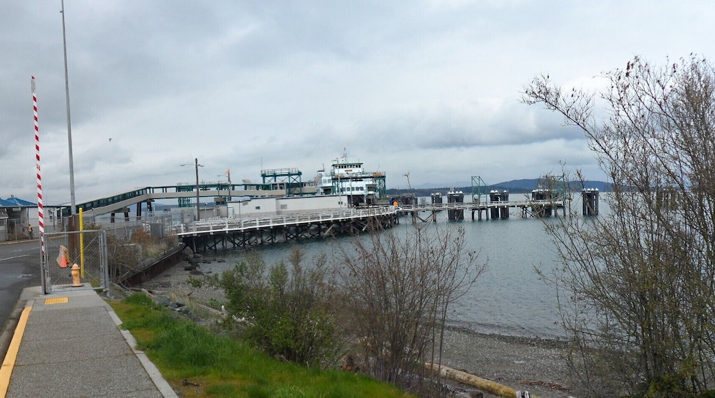 Coastal line of Washington state of USA with pacific ocean near Seattle is an estuary located between Canada and USA. The estuary is called Puget sound, this area is made of hundreds of water channels, islands, and rocks. they form a very unique habitat for marine life. This is home of several species of whales and paradise of fishermen. The islands are lush green and have tons of scenic area. Washington state is RUNNING a network of ferries called Washington ferries, islands are fully facilitating to tourists. Anacortes near Seattle is a harbor for ferries