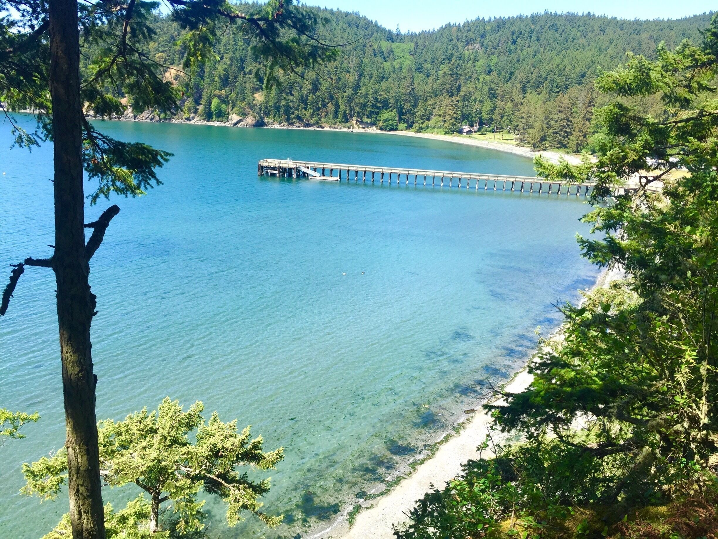 This was one of the many beautiful views along the lighthouse loop trail. Beware there are no lighthouses along lighthouse loop but the views are stunning it's a short and easy trail with many rewards!