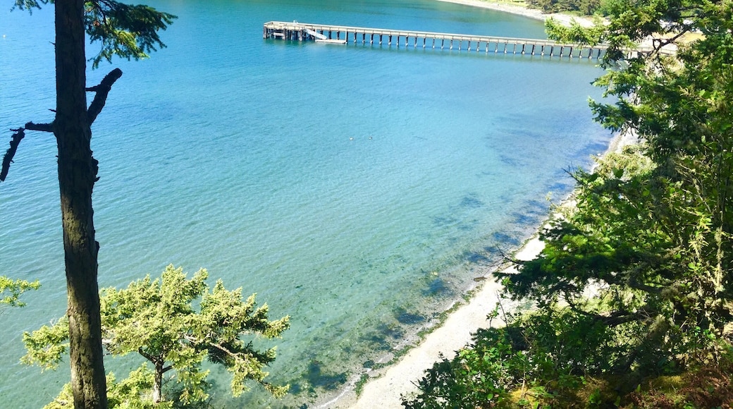 This was one of the many beautiful views along the lighthouse loop trail. Beware there are no lighthouses along lighthouse loop but the views are stunning it's a short and easy trail with many rewards!