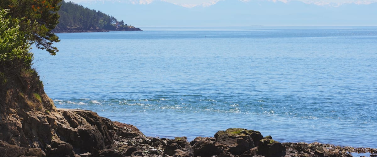 Pre-Mother's Day jaunt - all within 30 miles of our house. Nikon D3400. It was a beautiful day but a little hazy which made photography challenging.
70-300 mm zoom set at 82 mm. ISO 100, f/10.0, 1/640 sec. I tried to do some post-processing to make the Olympic Mountains pop but the sun and haze was beyond anything I could handle.