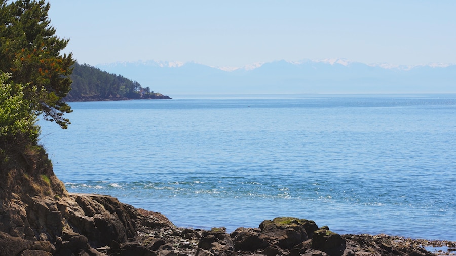 Pre-Mother's Day jaunt - all within 30 miles of our house. Nikon D3400. It was a beautiful day but a little hazy which made photography challenging.
70-300 mm zoom set at 82 mm. ISO 100, f/10.0, 1/640 sec. I tried to do some post-processing to make the Olympic Mountains pop but the sun and haze was beyond anything I could handle.