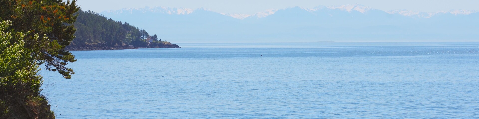 Pre-Mother's Day jaunt - all within 30 miles of our house. Nikon D3400. It was a beautiful day but a little hazy which made photography challenging.
70-300 mm zoom set at 82 mm. ISO 100, f/10.0, 1/640 sec. I tried to do some post-processing to make the Olympic Mountains pop but the sun and haze was beyond anything I could handle.