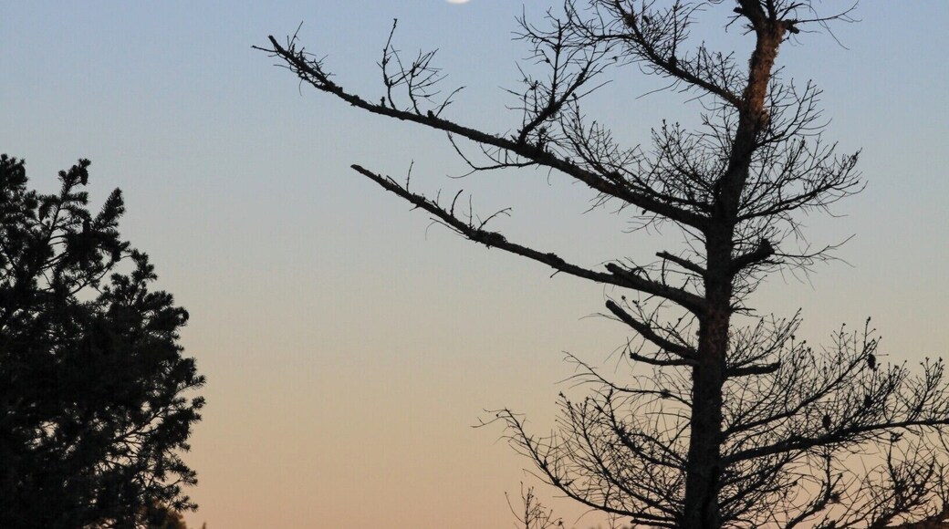 Washington Park is a 220 acre park not far from the city of Anacortes. The park offers beaches, boat launches, camping, picnic area and hiking. There are hiking and biking trails or a 2 mile paved road that goes around the park. I took the paved road. It is well maintained and traveled by walkers, runners and a few cars. This view is looking towards Anacortes about sunset time with a full moon.