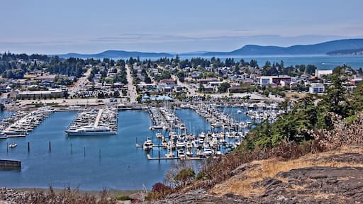 ์๋์ฝํ
์ค