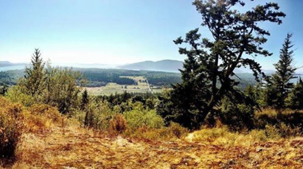 View from the top of Guemes Mountain on Guemes Island, WA. There is a 2.5mi trail to the top and back.