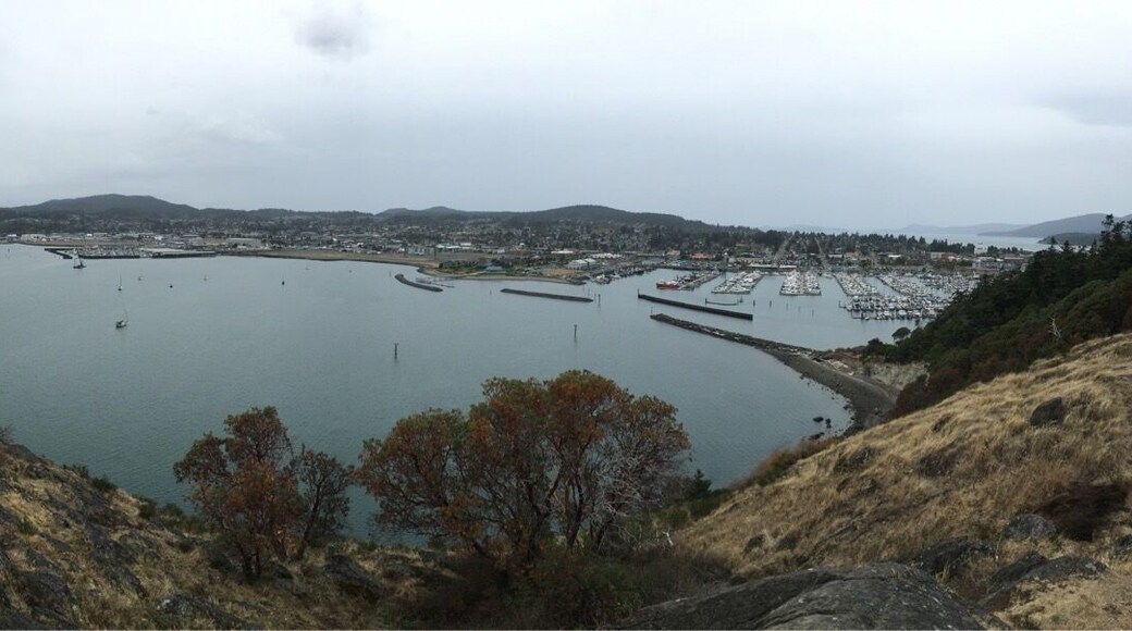 #LoveMyTown Cap Sante View Point Anacortes, WA.. In a nut shell 🙏🏼🙌🏼