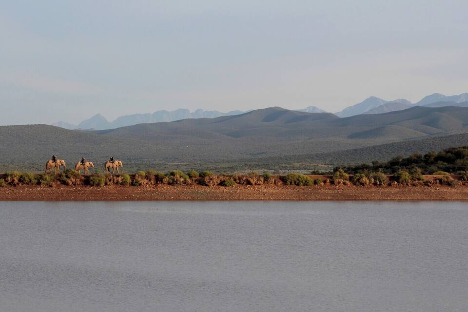 A desert landscape with a body of water, mountains in the background, and a group of camels.