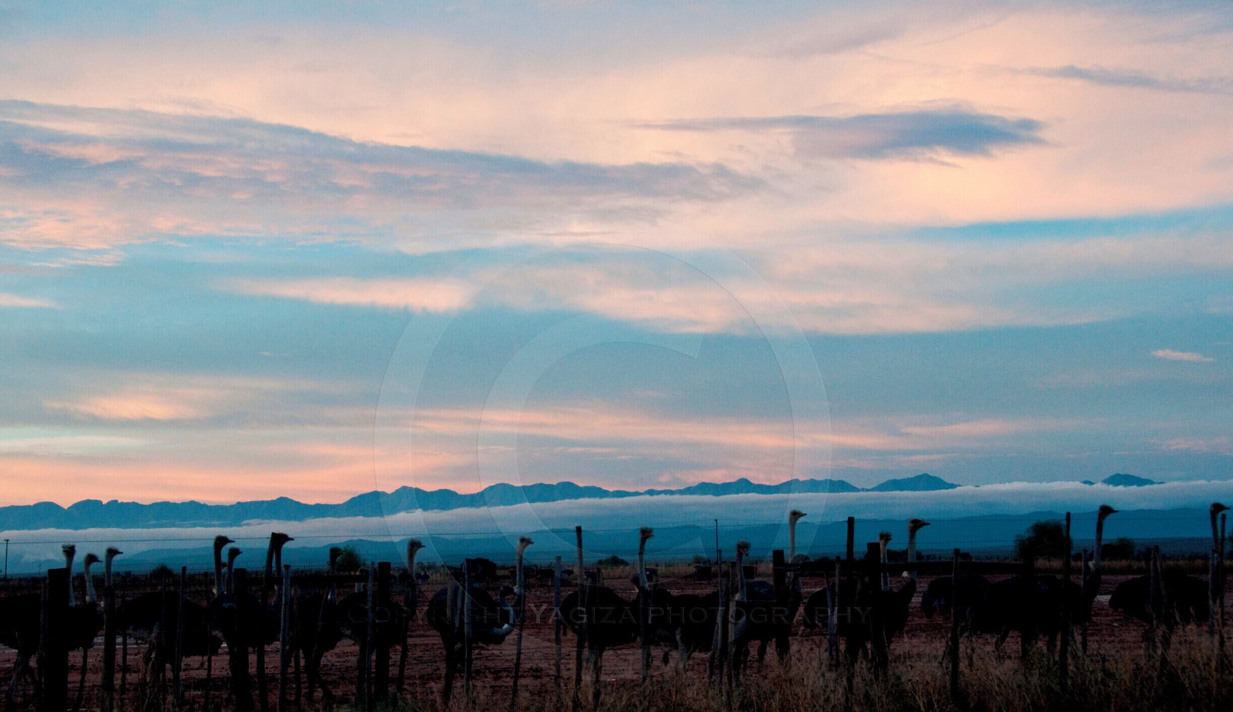 The Ostrich Capital. Best at its sunset.